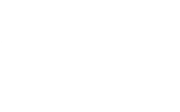 Aurora 1000 SAR