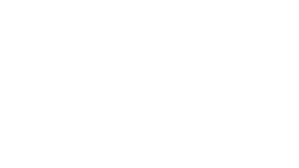 Aurora 1000 XT