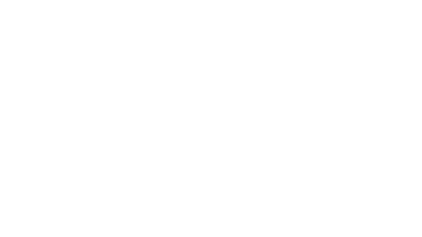 Conquest 1000