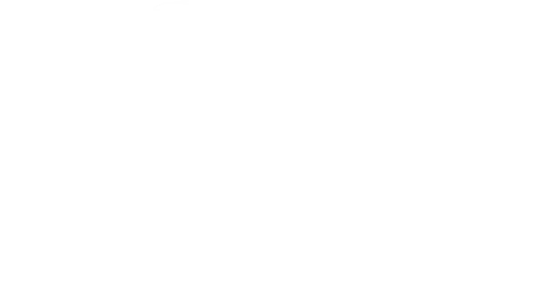 Conquest 1000 XTL