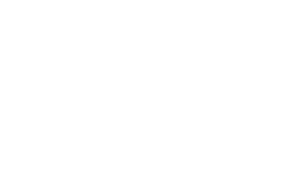 Conquest 1000 XTX