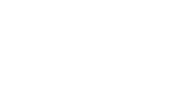 Frontier 750 Scout 8x8