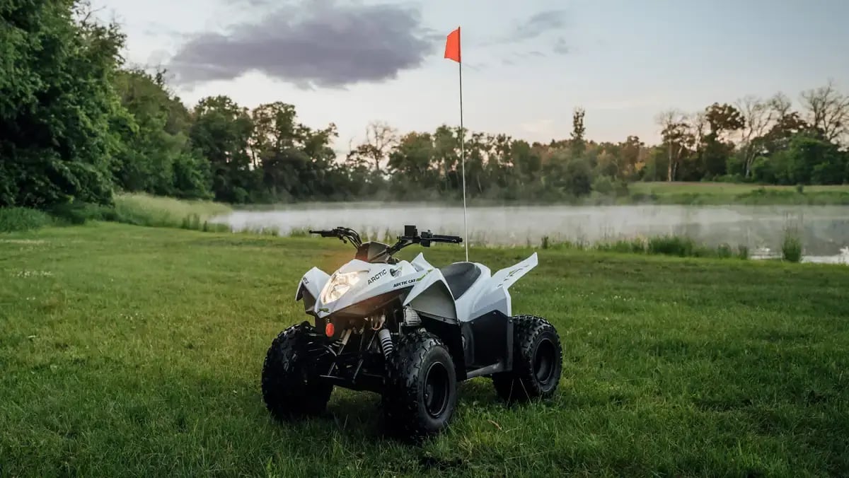Alterra 110 Children's / Child ATV for sale space for gear