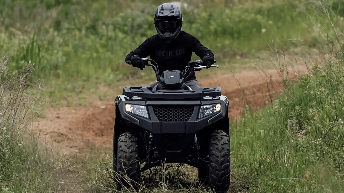 Alterra 300 mid size atv / utv for sale