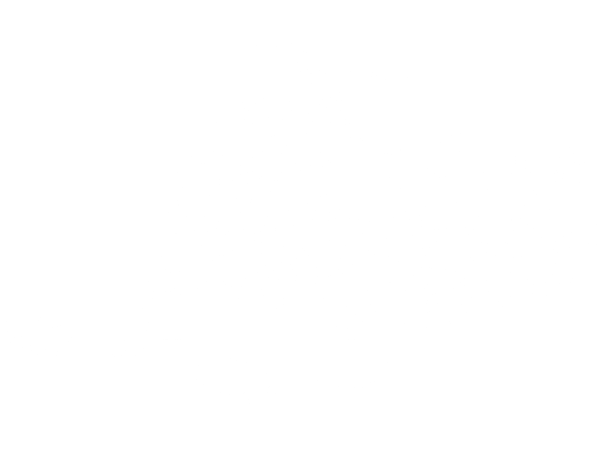 El Tigré 600