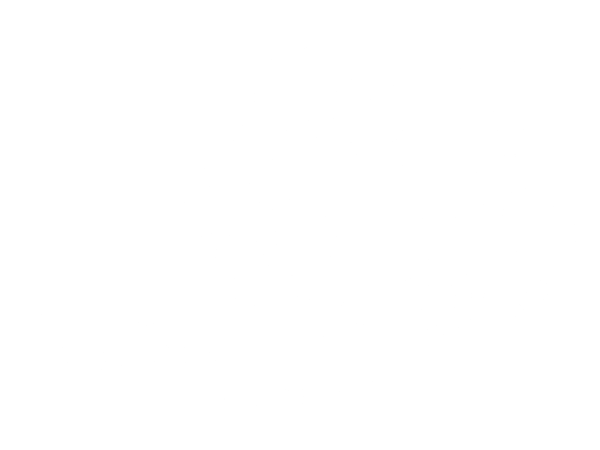 Pantera 400