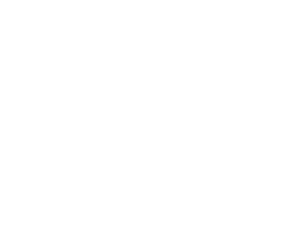 XF 400