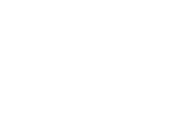 XF 858