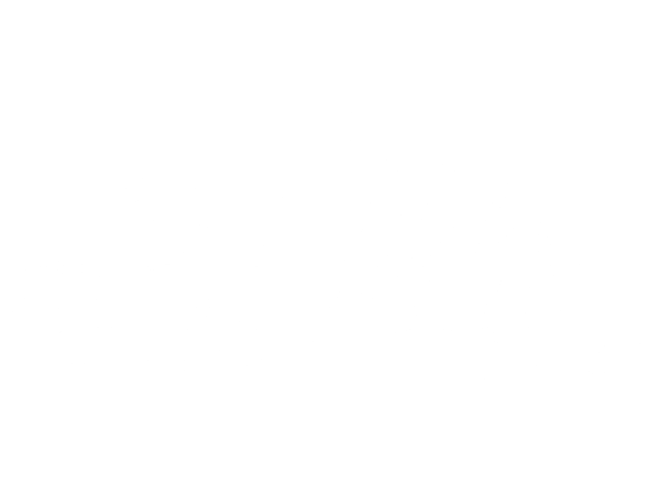 ZR 200