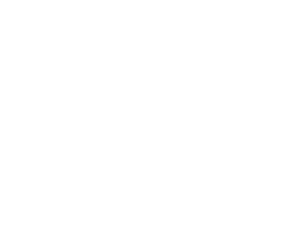 ZR 600