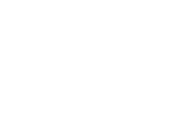 Prowler 800 XT Crew