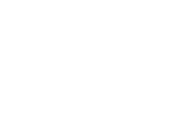 Prowler 800 Limited