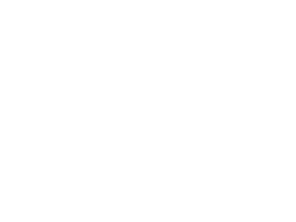 Prowler 500