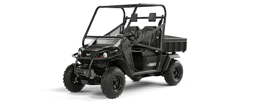 2014 Ambush iS 2-Passenger