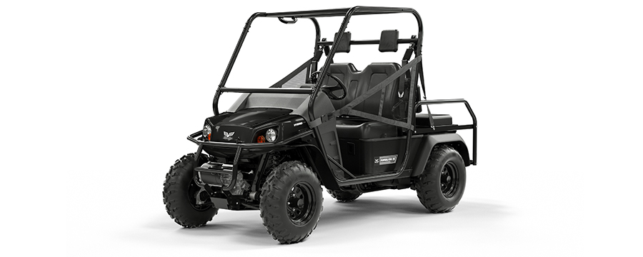 2015 Ambush iS 4-Passenger
