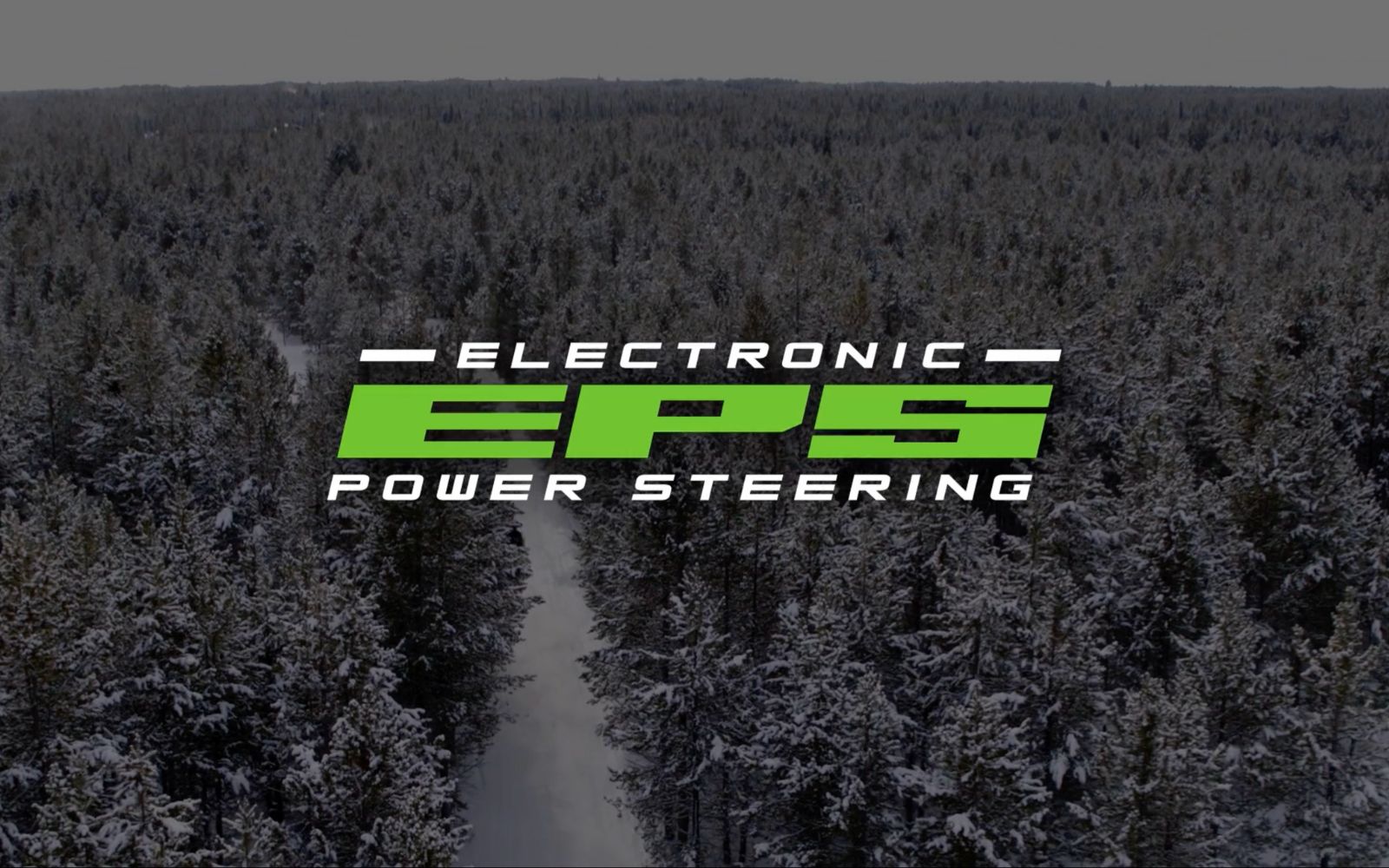 Electronic Power Steering