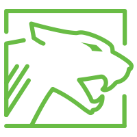 About Arctic Cat